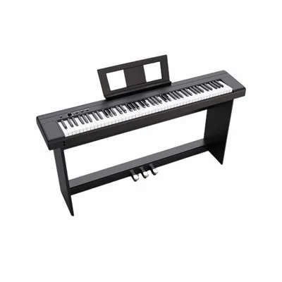 Piano sân khấu nhẹ