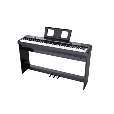 Piano di động cho người mới bắt đầu