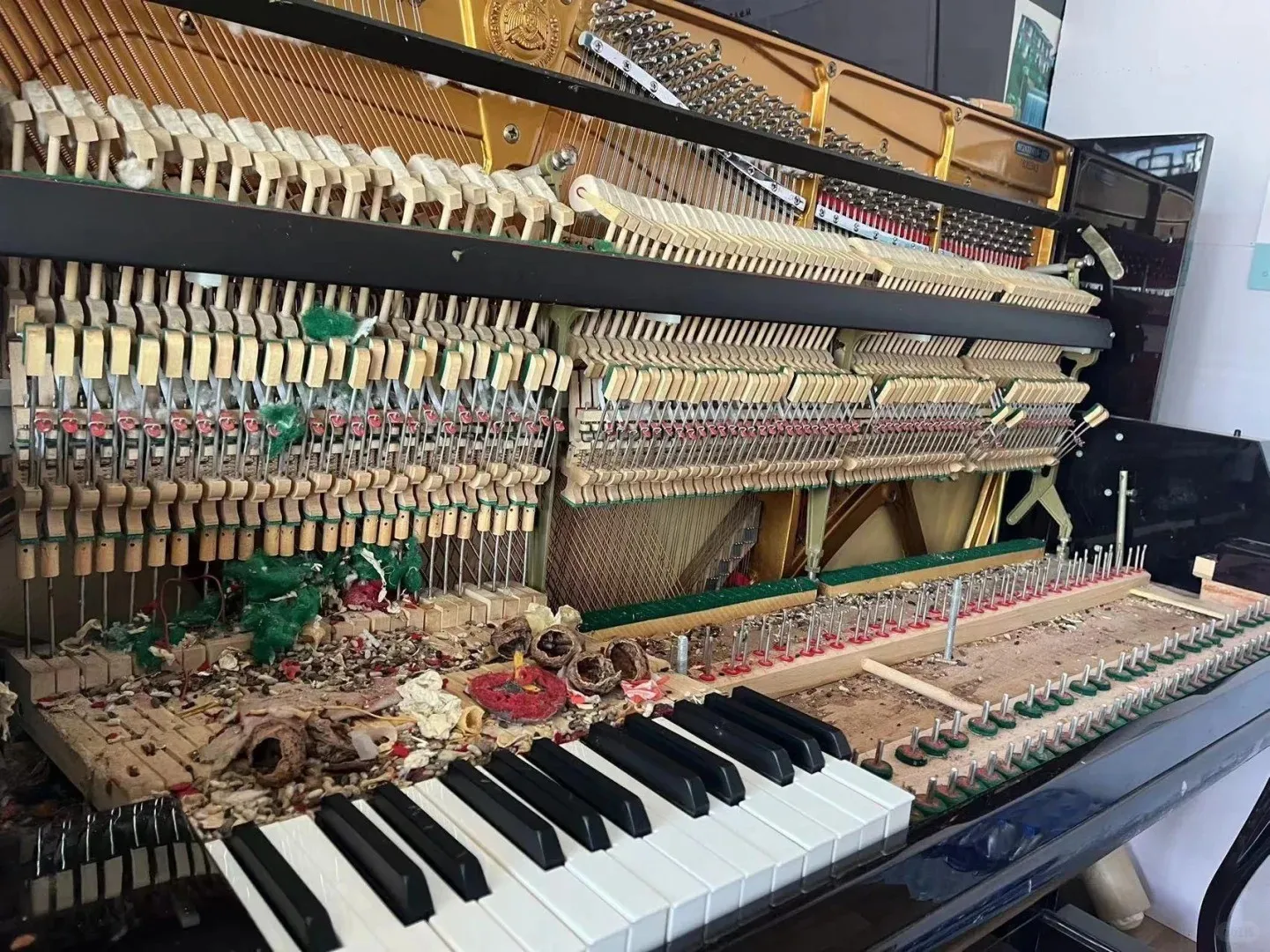 Đàn Piano Và Piano Điện, Được mệnh danh là -vua của các loại nhạc cụ-, thực s...